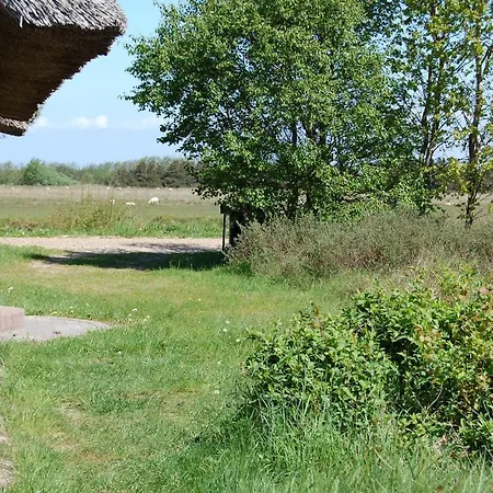 Feriehus Thadesvej Romo X *